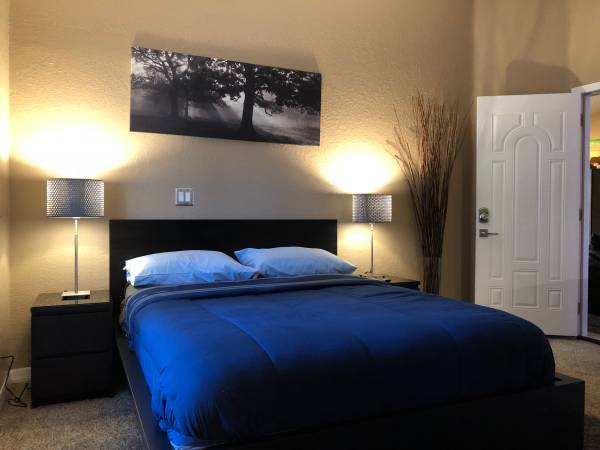 1165 Bryn Mawr Street - 3